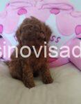 viber_image_2026-05-10_13-26-37-929