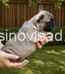 viber_image_2026-04-23_13-36-07-878-900x1024-1-1