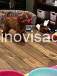 viber_image_2026-05-02_09-39-45-625