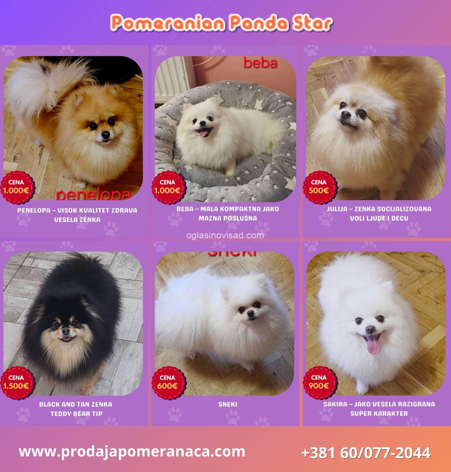 aviber_image_2026-05-05_16-14-34-868