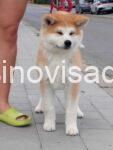 viber_image_2026-07-01_09-58-31-010