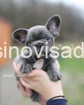 viber_image_2026-06-30_10-17-51-878-1