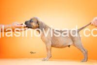 viber_image_2026-07-17_16-16-33-441