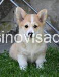 8520b44a-2663-47ac-a63d-0a37c3ba708f