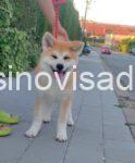 viber_image_2026-07-01_09-57-14-606