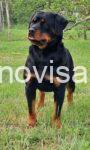3viber_image_2026-07-15_15-01-17-038