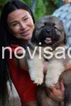 4 kovcarD0726 Z