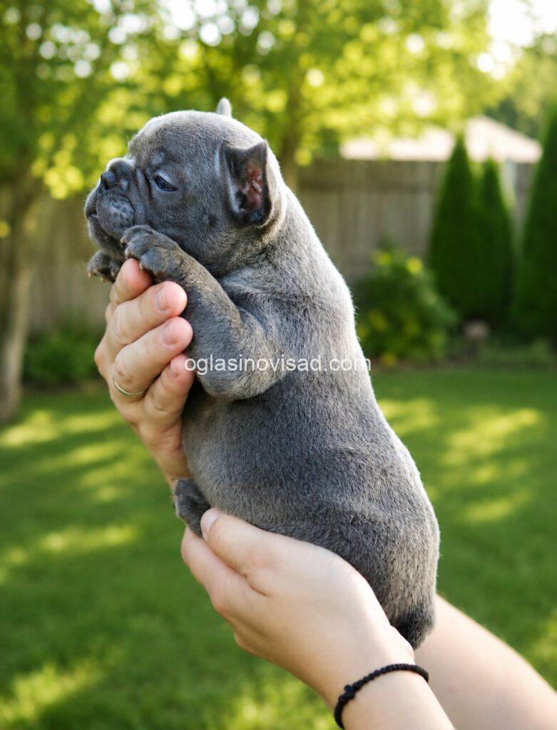 viber_image_2026-06-30_10-18-30-148-781x1024-1