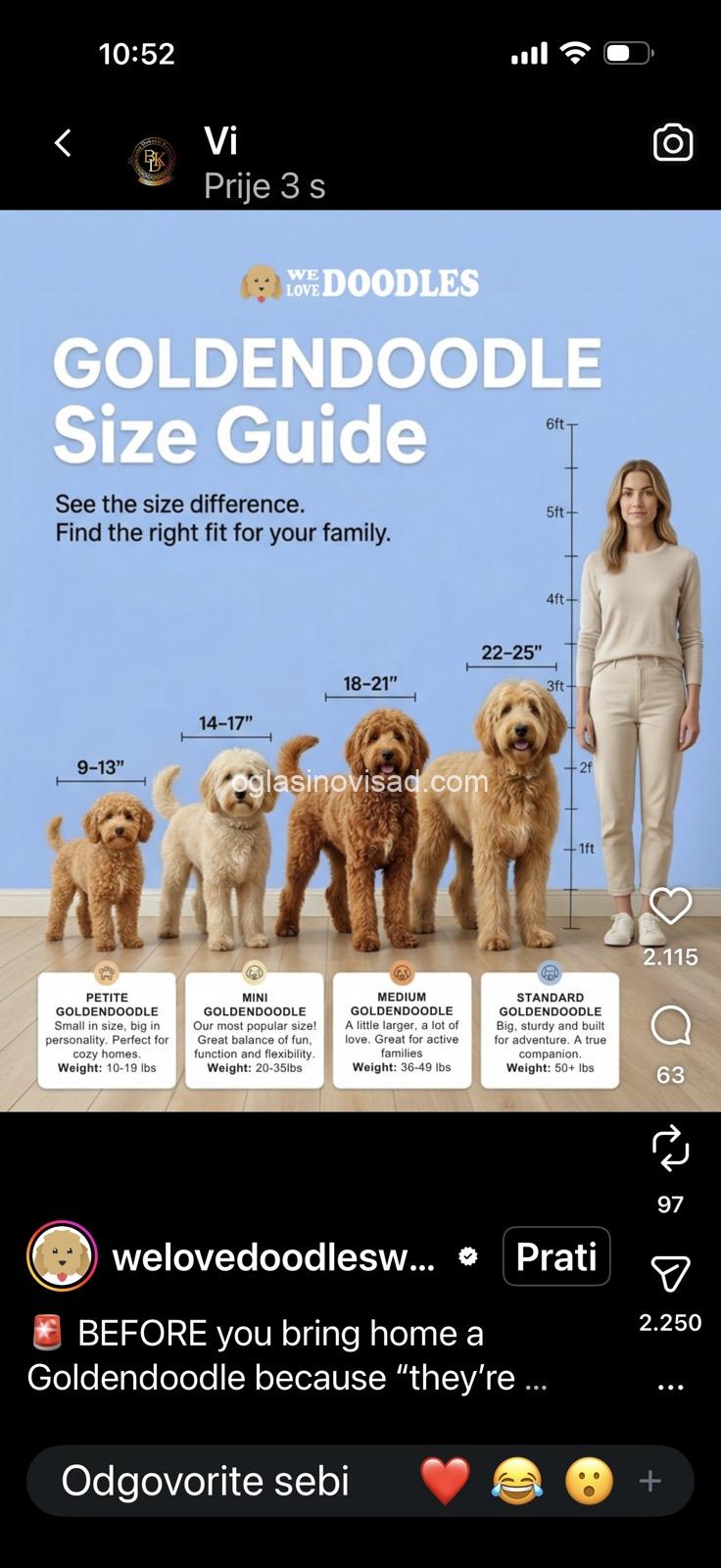 viber_image_2026-07-10_20-03-02-706