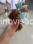 viber_image_2026-07-10_20-03-00-558