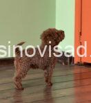 viber_image_2026-06-14_12-03-54-143