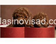 3  pudlaMD0126