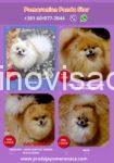 viber_image_2026-08-22_16-17-07-020
