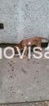 WhatsApp Image 2026-08-26 at 19.56.28 (3)