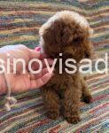 viber_image_2026-06-14_12-04-46-956-842x1024