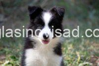 viber_image_2026-08-04_14-58-52-127