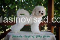 viber_image_2026-08-21_10-18-54-099
