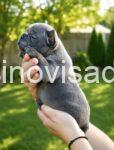 viber_image_2026-06-30_10-18-30-148-781x1024-1-1