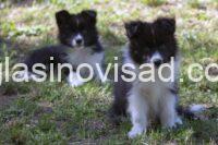 viber_image_2026-08-04_14-59-06-668
