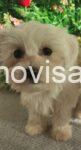 viber_image_2026-08-01_16-06-24-882