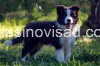 viber_image_2026-08-04_14-58-22-244