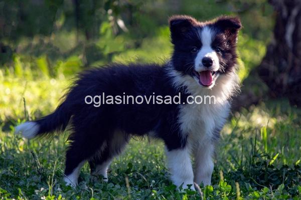 viber_image_2026-08-04_14-58-22-244