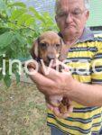 viber_image_2026-08-20_20-54-52-115