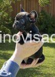viber_image_2026-04-23_13-36-43-074-739x1024-1-1-1-1