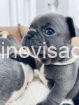 viber_image_2026-06-30_10-17-29-569-768x1024-1-1