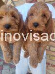 viber_image_2026-08-01_12-24-30-508