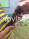 viber_image_2026-08-20_20-55-11-316