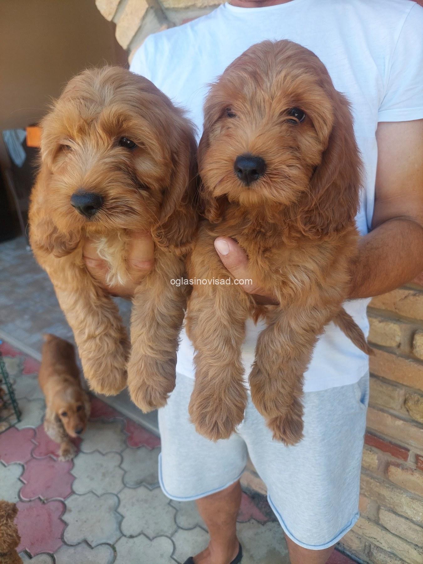viber_image_2026-08-01_12-24-29-508
