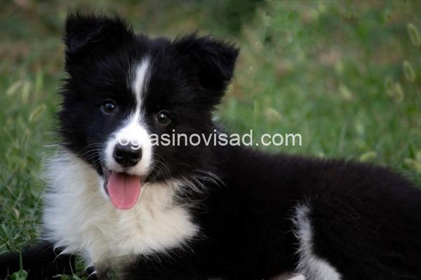 viber_image_2026-08-04_14-58-38-317