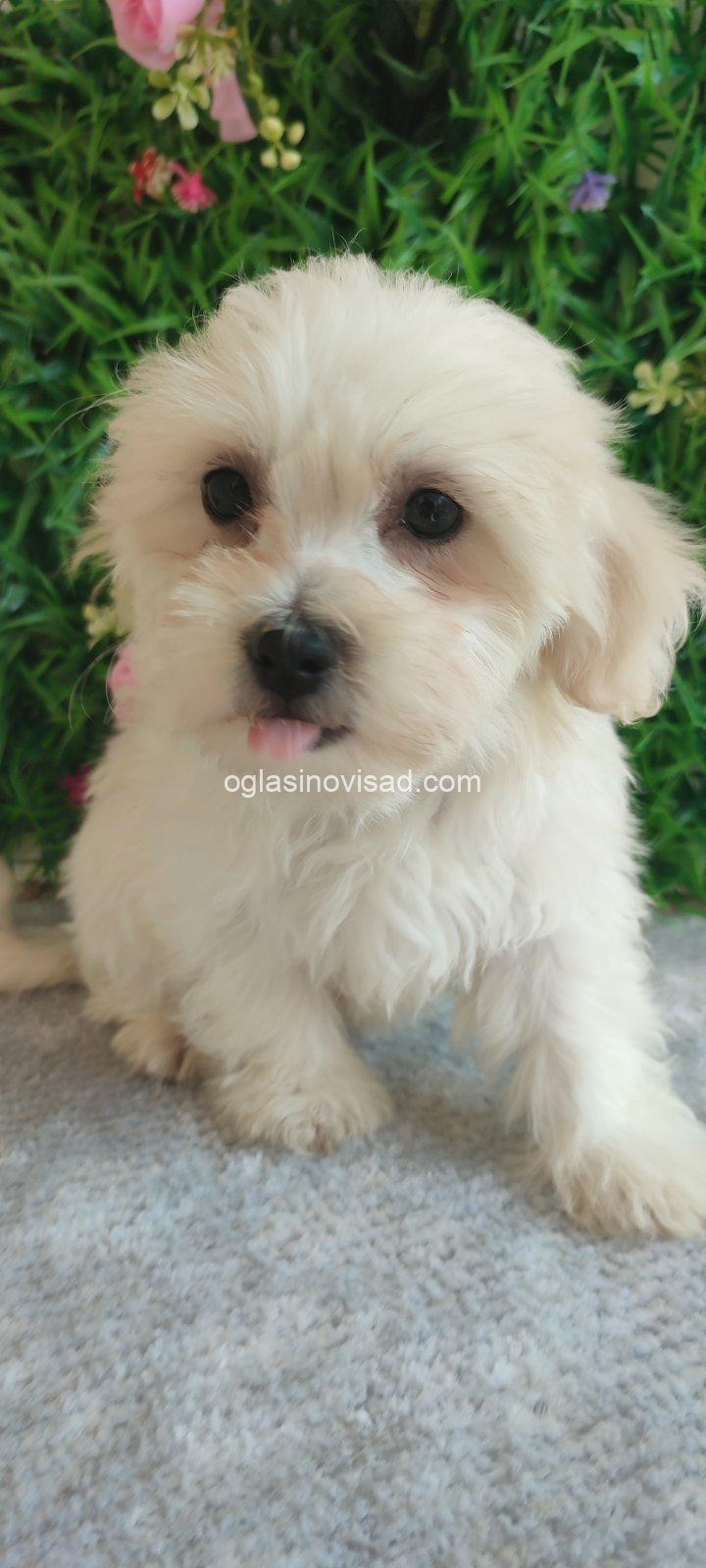 viber_image_2026-08-01_16-06-24-594