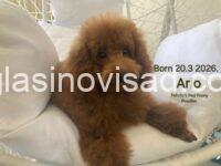viber_slika_2026-08-29_15-53-58-722