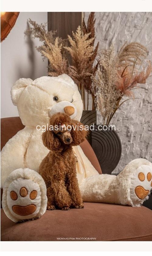 2  pudlaMD0126