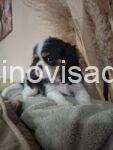 viber_image_2026-08-26_09-35-27-114