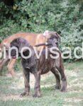 3IMG-20260829-WA0011