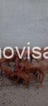 WhatsApp Image 2026-09-04 at 19.58.38