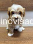7a7db041-62b3-4fa5-96bd-0f2a94224115