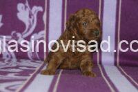 viber_image_2026-09-02_19-59-24-083