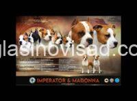 4d513b99-ed0c-463f-9ed5-d01446183049