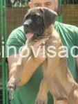 6IMG-20260829-WA0010