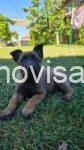 4viber_slika_2026-09-16_12-59-16-478