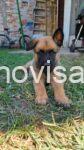 3viber_slika_2026-09-16_12-59-16-702