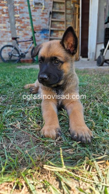 5viber_slika_2026-09-16_12-59-16-684
