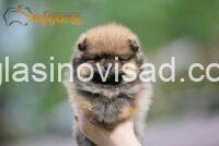 viber_image_2026-09-05_11-51-40-131