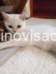 viber_image_2026-09-08_11-31-55-127