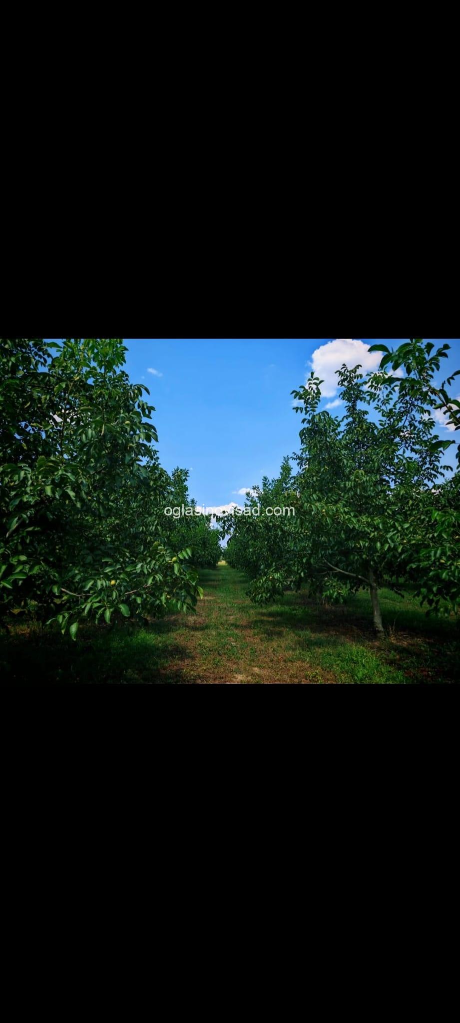 7f667832-b11a-4822-8877-f4430c2beea9