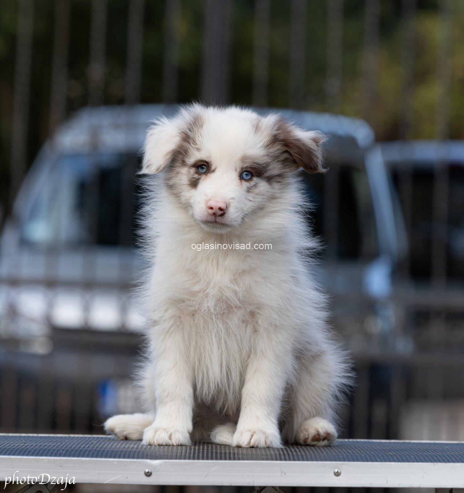 viber_image_2026-09-25_12-23-43-482